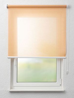 Stoff Rollo Ma&szlig;anfertigung Dreieich 72.104e