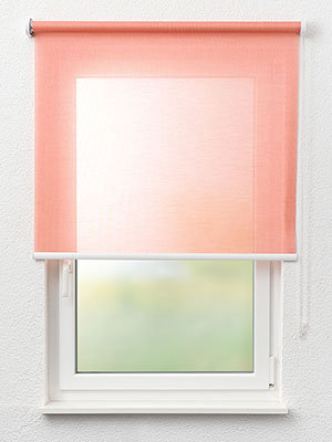 Stoff Rollo Ma&szlig;anfertigung Dreieich 82.104e