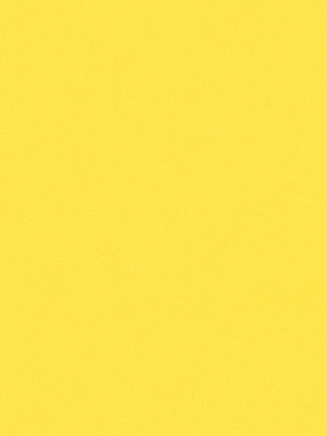 Stoff Rollo Ma&szlig;anfertigung Dülmen 62.814e