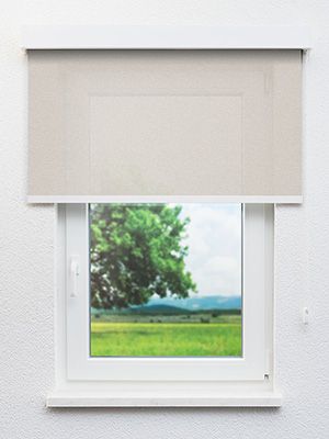 Preview Brück 81.544e 2