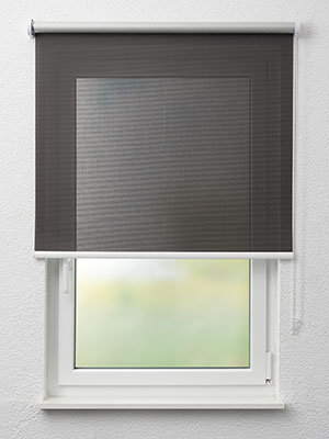 Stoff Rollo Ma&szlig;anfertigung Brüssow 40.784e