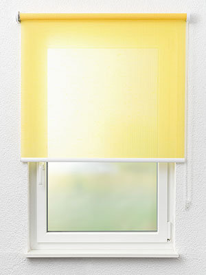 Stoff Rollo Ma&szlig;anfertigung Buchholz 32.105e