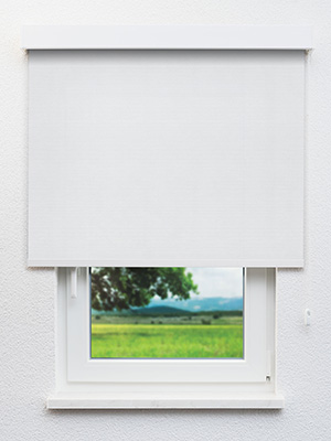 Stoff Rollo Ma&szlig;anfertigung Gelsenkirchen 10.278e