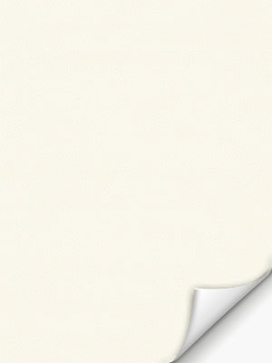 Preview Verdunkelungsrollo Miram 5501.4629w 5